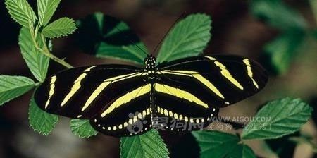 freelunch_3697580_3191120_m.jpg
